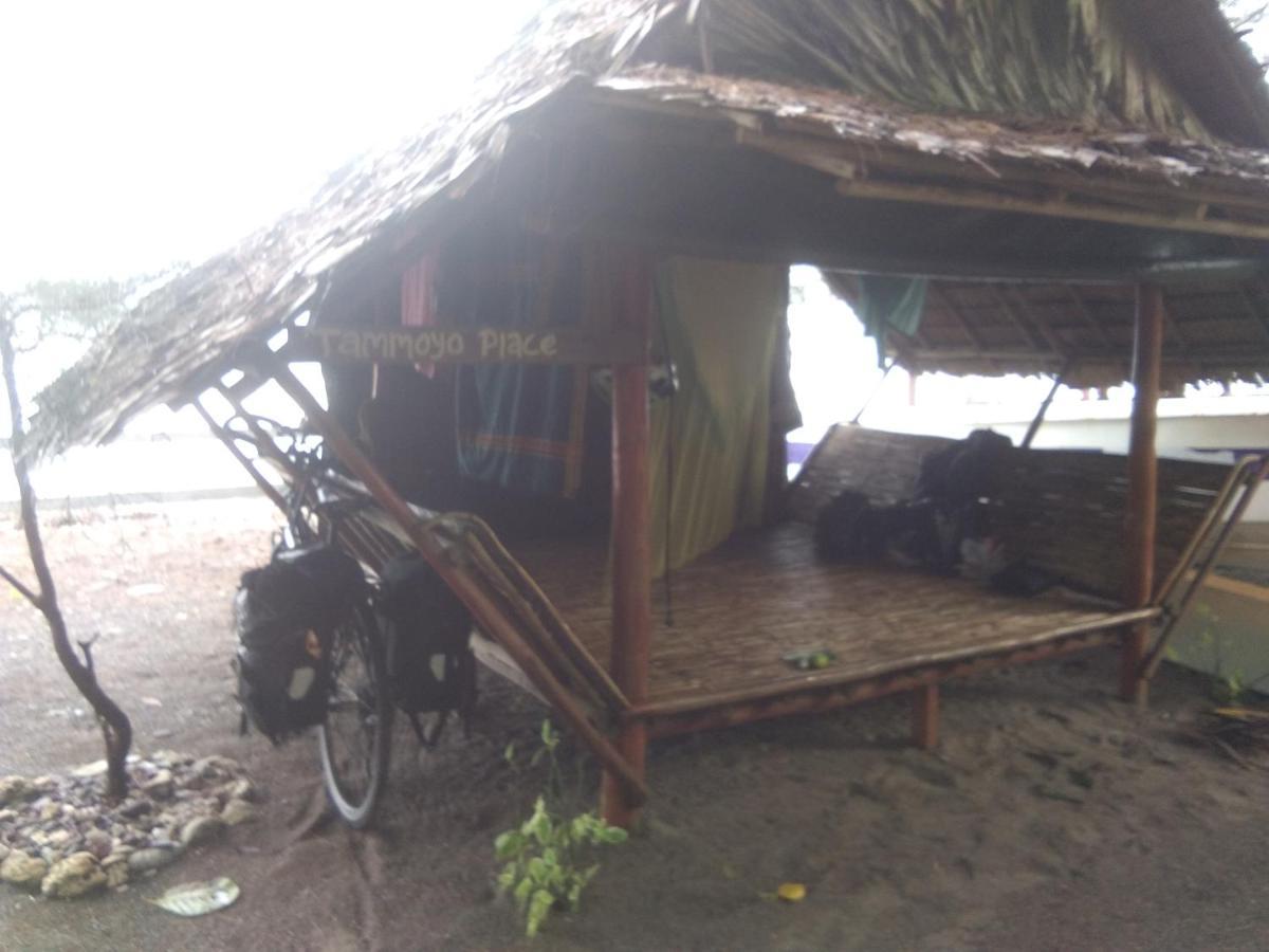 Tammoyo Place Kudat Exterior photo